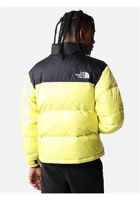 Giubbotto Retro Nuptse The North Face THE NORTH FACE | Giubbotti | NF0A3C8D71U1